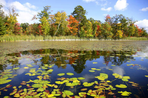 Осенний пруд в штате Миннесота