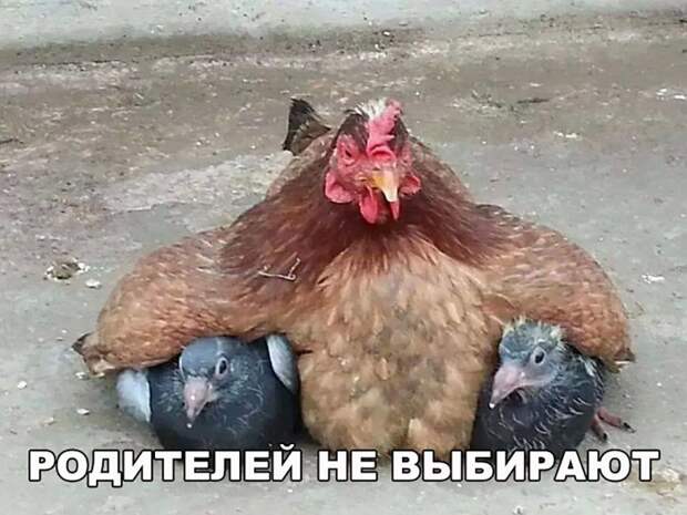 Подборка картинок и фотографий с надписями из жизни (11 фото)