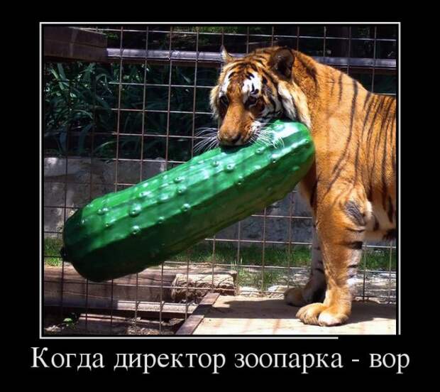 Демотиваторы (30 фото) Демотиваторы (30 фото)
