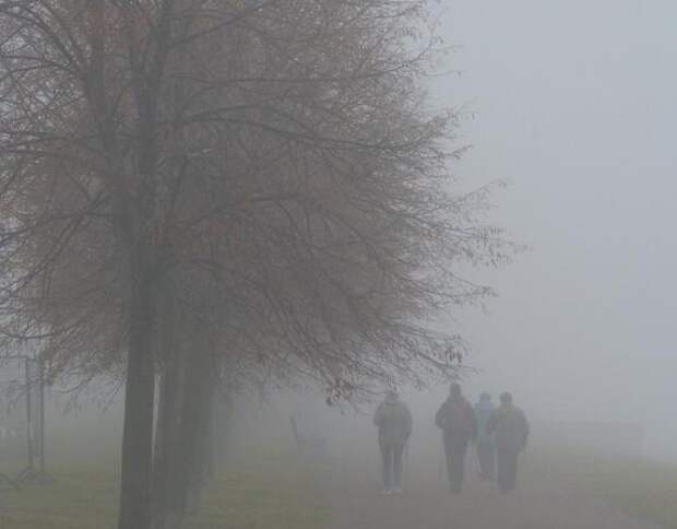 МЧС предупредило петербуржцев о неблагоприятной погоде в четверг и пятницу