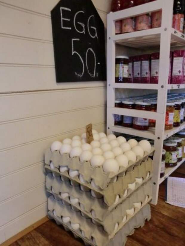 Необычные магазины Норвегии