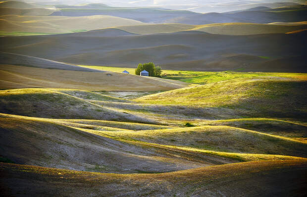 Холмы Palouse, США Palouse 8 Изумрудные холмы Палуз