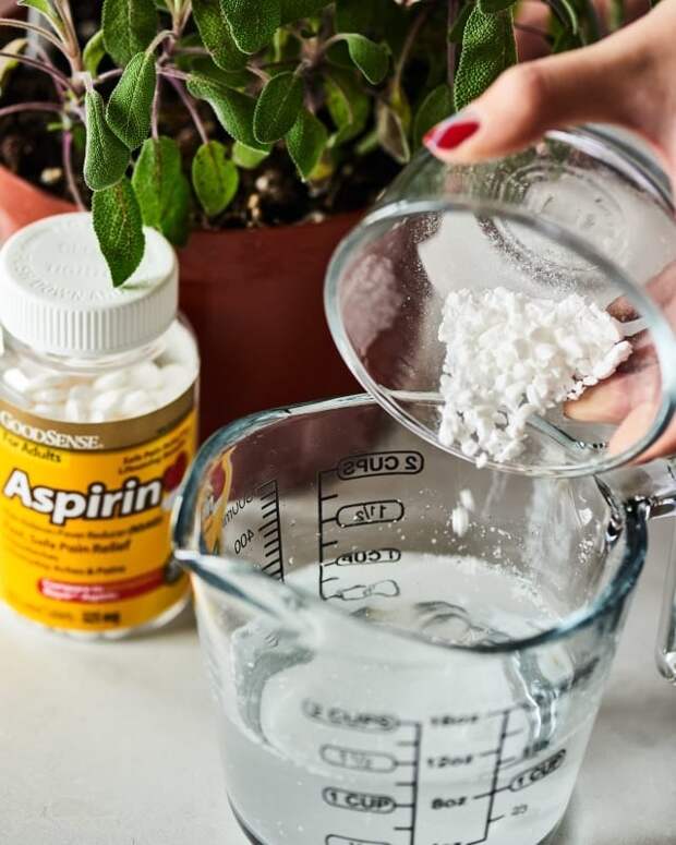 9 вариантов использования дома аспирина, которые точно пригодятся в хозяйстве