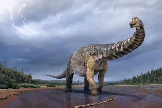 Останки нового вида крупнейшего динозавра обнаружили в Австралии