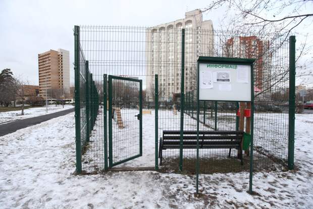 Площадка для выгула собак/ Роман Балаев