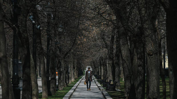Больше 3 млн москвичей загулялись на полдня. Вскоре число заражённых подскочило до 1,3 тысячи в день