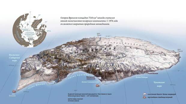 Как Канада и США делили остров Врангеля, и почему он в итоге остался за Россией 