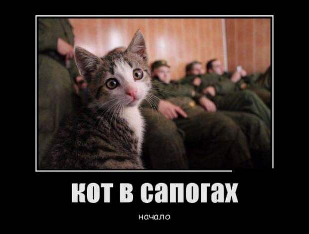 Обо всём.