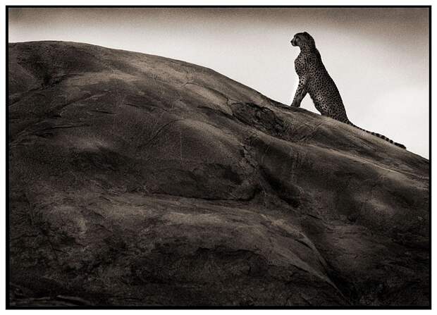 фотографии африки. Nick Brandt