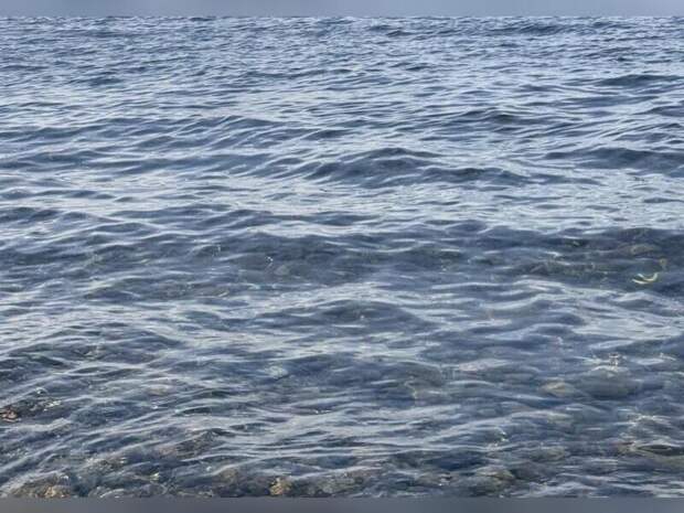 На реке Аргунь повысился уровень воды