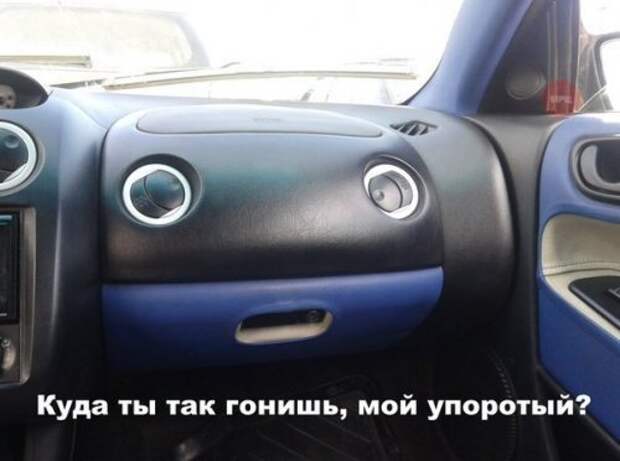 Новая коллекция фотомемов (25 шт)