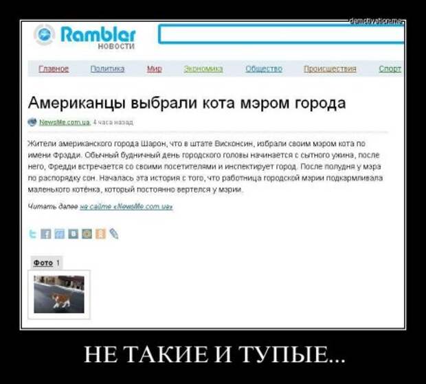 Демотиваторы это не только прикольные картинки но и ржачные фразы.