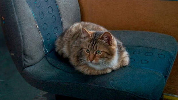 Счастливый рейс