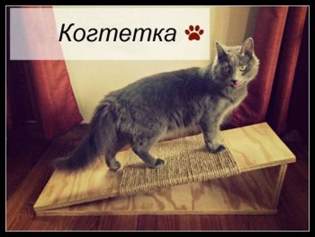 Когтетка для кота своими руками