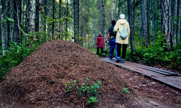 Фото Алексея Тачкова