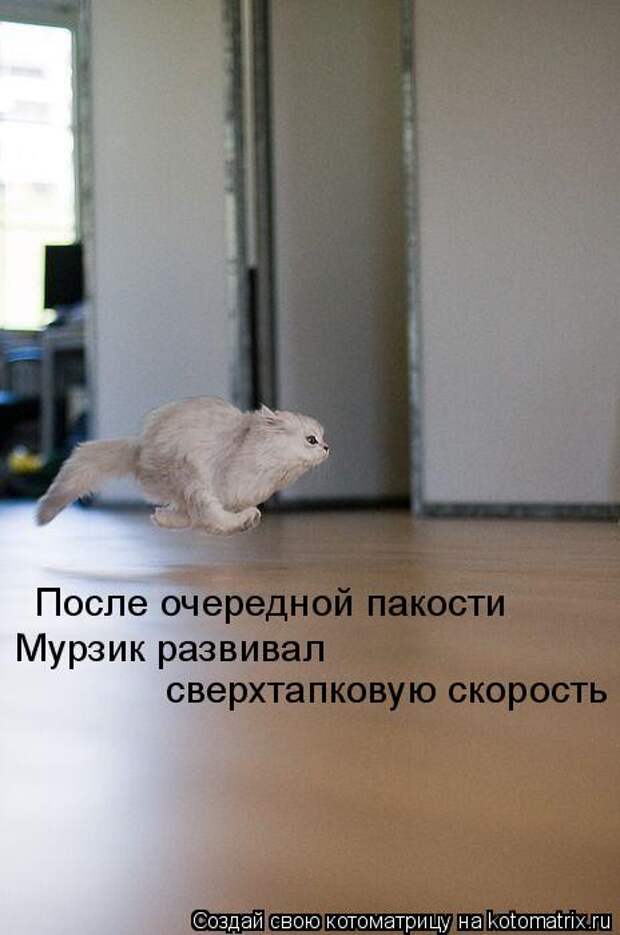 После очередной пакости  Мурзик развивал  сверхтапковую скорость