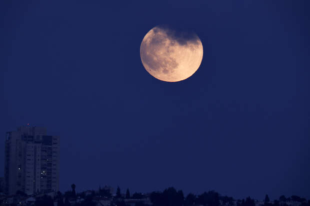 Лунный посевной календарь на ноябрь 2026 года: благоприятные и неблагоприятные дни для садовых работ