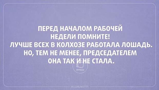 Актуальные цитаты интернета