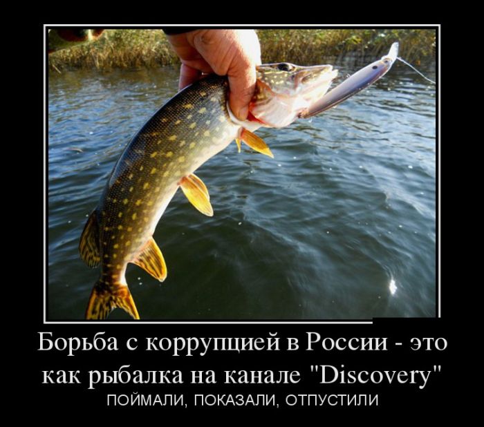Демотиваторы (30 фото)