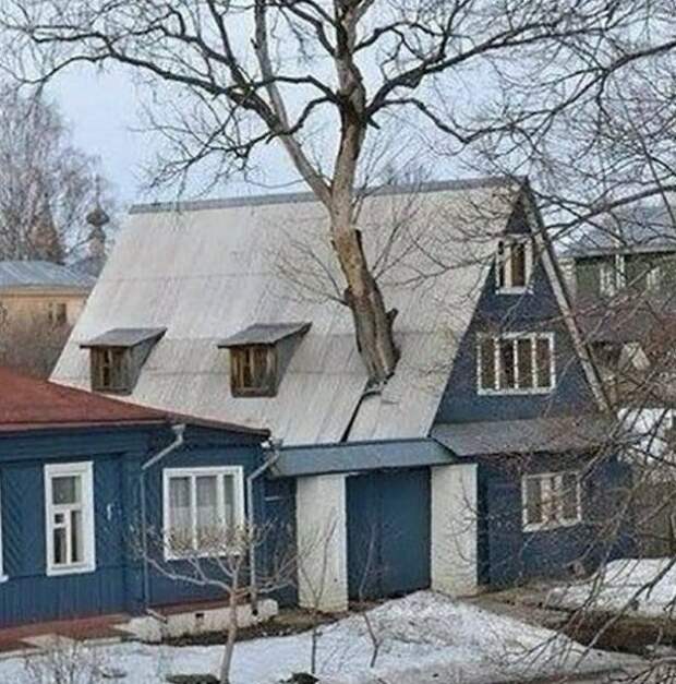 Приезжайте к нам в колхоз - куры, дуры и навоз
