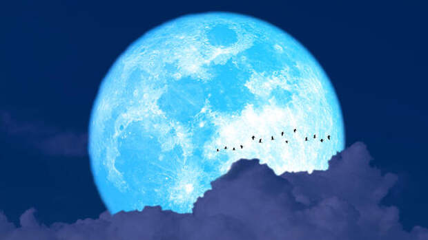 Магическая Голубая Луна: какой знак зодиака попадет в финансовый шторм