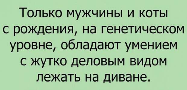 Смешные и познавательные картинки