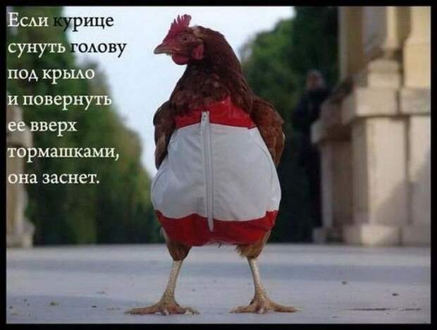 Подборка интересных фактов для Вашего мозга (15 картинок) Подборка интересных фактов для Вашего мозга (15 картинок)