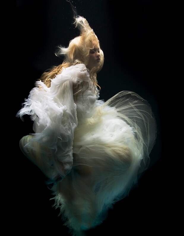 Фотограф Zena Holloway