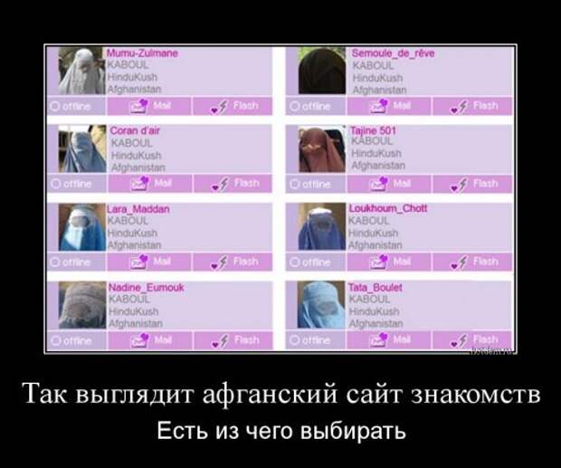 Новый сборник демотиваторов (12 шт)