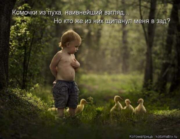 Котоматрицы (картинки с надписями)