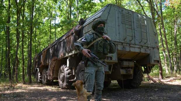 Рогов заявил о новой попытке контрнаступления ВСУ в Запорожской области