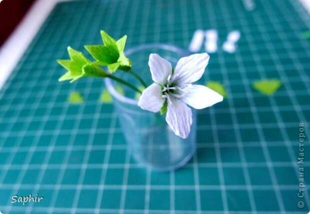 Мастер-класс Бумагопластика Маленькие цветочки из бумаги Кристал  Бумага гофрированная фото 10