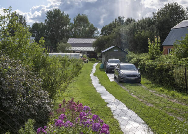 Зумеры признались в одной мечте