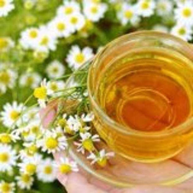 Травы которые используют для полоскания горла