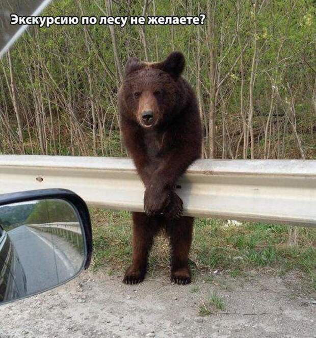 Самые смешные свежие картинки с надписями (понедельник)