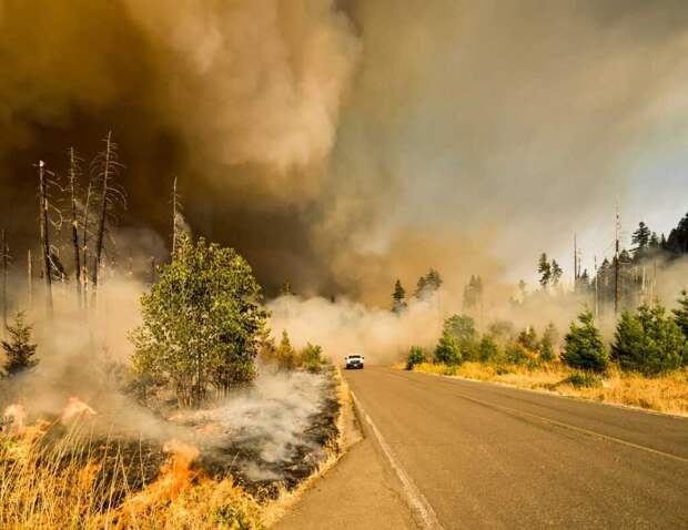Колорадо охвачен масштабными пожарами. Около 30 000 человек эвакуированы