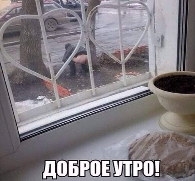 Смешные картинки с надписями прикол, юмор