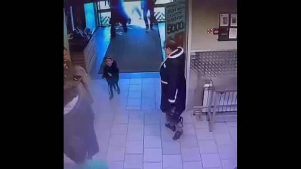 Кошка из столичного супермаркета терроризирует собак.       Ларка считает...