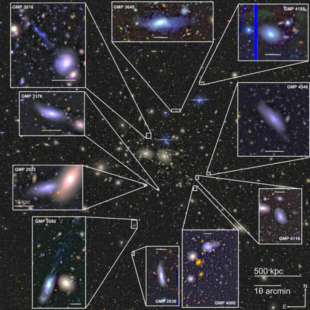 Рис. 6. Галактики в скоплении Волос Вероники, выбранные для исследования