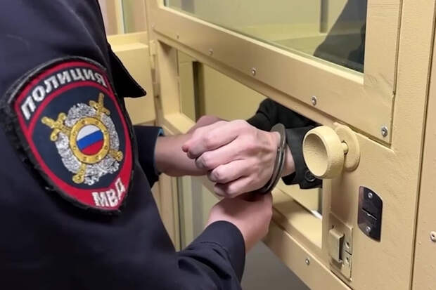 СК: главу горпоселения в Ленобласти задержали по делу о многомиллионной взятке