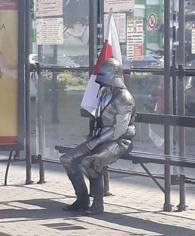 Подборка прикольных картинок