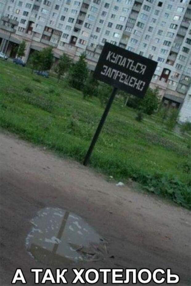 Подборка доброго юмора подборка, прикол, шутка, юмор