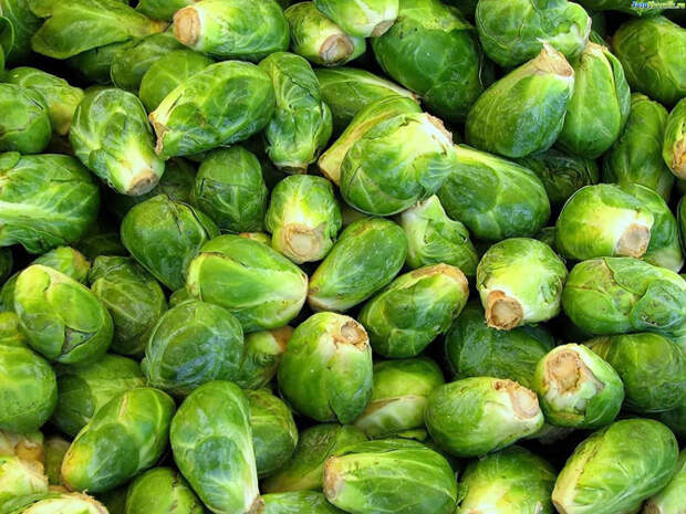 Самые полезные для организма продукты