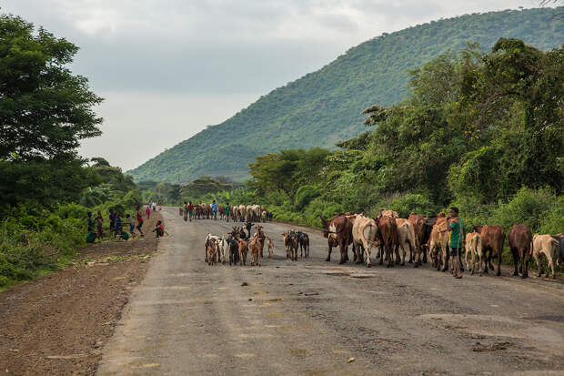 Жизнь на эфиопских дорогах