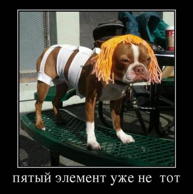 Прикольные демотиваторы