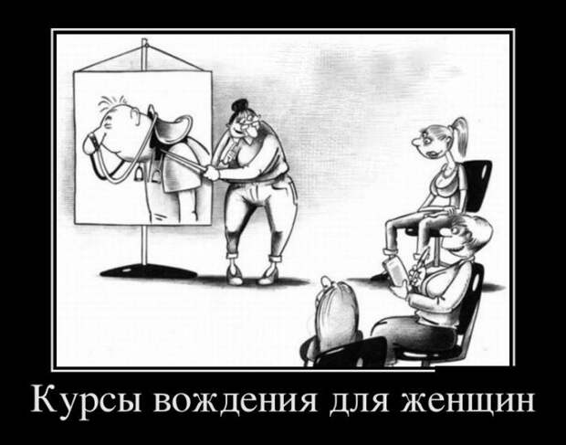 Веселые и забавные демотиваторы для хорошего настроения (11 фото)