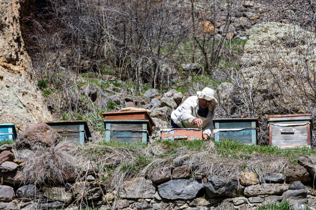 Фото: © Aleksey Smyshlyaev/ Global Look Press