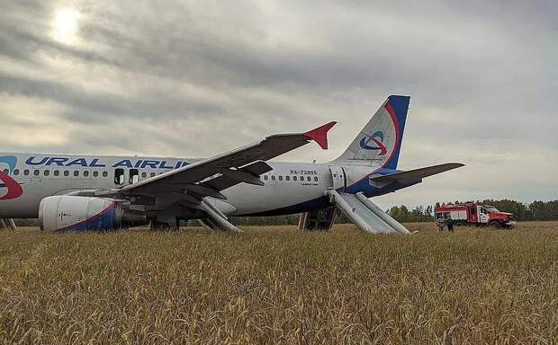 Посадившему в 2023 году самолёт в поле пилоту предложили работу за границей