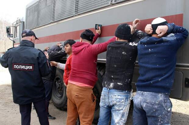 Мигрантов планируют выдворять с Кубани за любое правонарушение
