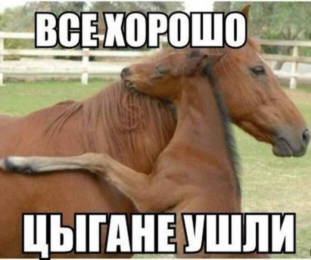 Пятничные фото приколы и картинки  (41 шт)